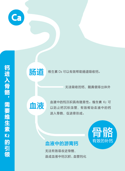 中老年人 补钙（补钙老年人中药有哪些）-硒宝网