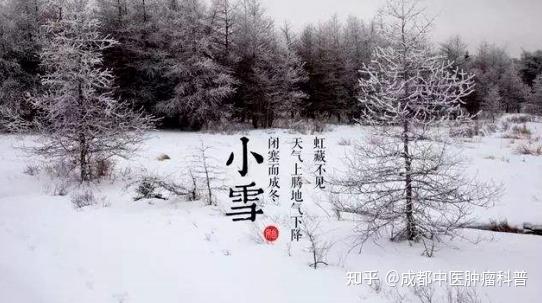 胰腺癌患者怎样补硒（胰腺癌病人可以吃硒片吗）-硒宝网