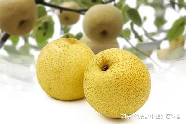 胰腺癌患者怎样补硒（胰腺癌病人可以吃硒片吗）-硒宝网