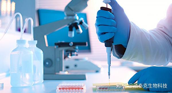 老人可以吃补硒的吗(补老人吃硒可以长头发吗)-硒宝网