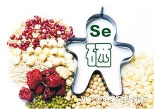 老人可以吃补硒的吗(补老人吃硒可以长头发吗)-硒宝网