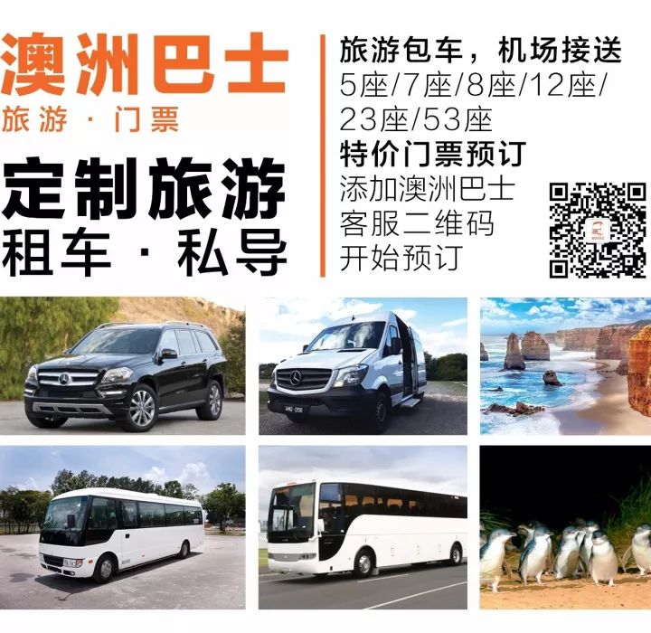 补硒哪种保健品牌好(十大补硒品牌)-硒宝网