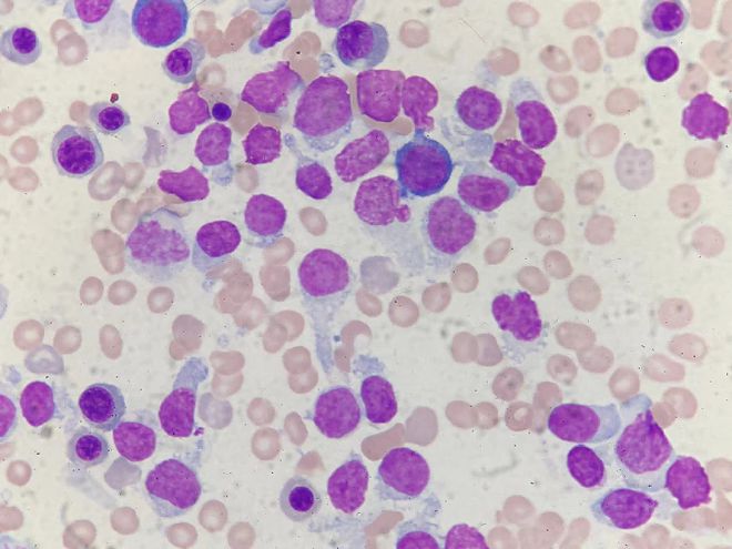 人体必需8种微量元素(必需微量元素在人体中所占比例)-硒宝网