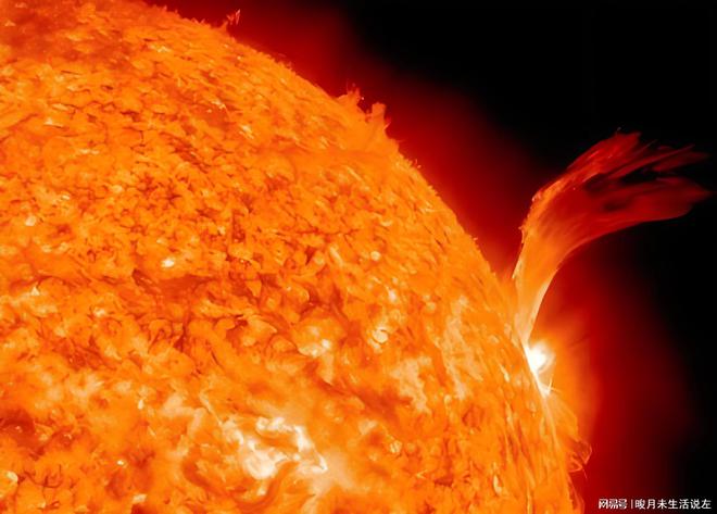 为什么晒太阳能补钙（晒太阳补钙必须直射吗）-硒宝网