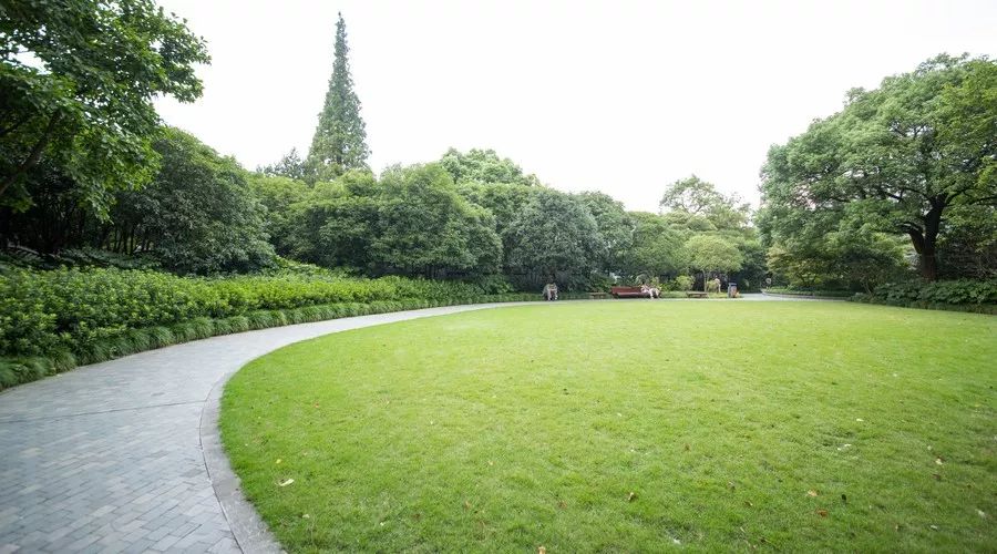 补硒能杀死癌细胞吗（杀死癌细胞能补硒嘛）-硒宝网