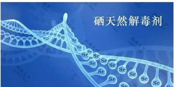 补硒能杀死癌细胞吗（杀死癌细胞能补硒嘛）-硒宝网