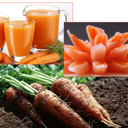 你认为要补哪种硒好（日常补硒要遵循什么原则）-硒宝网