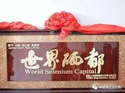 硒矿能补硒吗为什么(硒可以补吗)-硒宝网