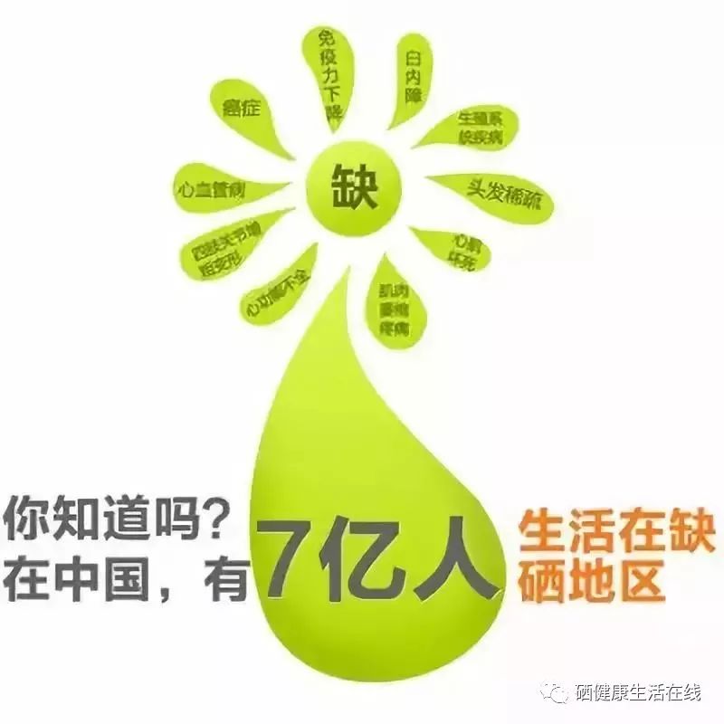硒矿能补硒吗为什么(硒可以补吗)-硒宝网