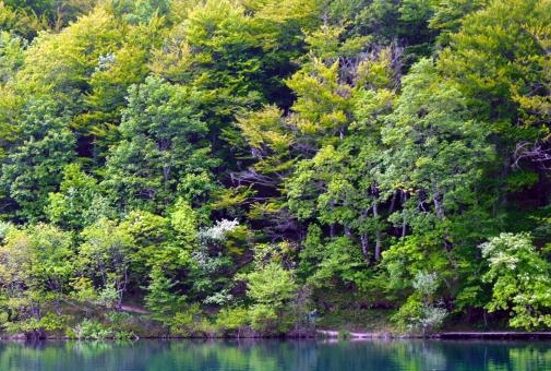 补硒后甲状腺癌痊愈(痊愈癌补甲状腺硒后吃什么)-硒宝网