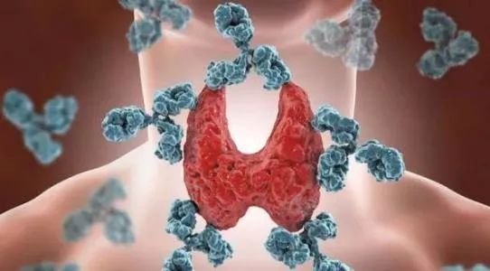 降甲状腺补硒有用吗(甲状腺补硒的药)-硒宝网