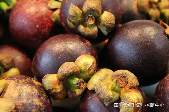 结肠癌术后如何补硒(结肠癌术后可以补硒吗)-硒宝网