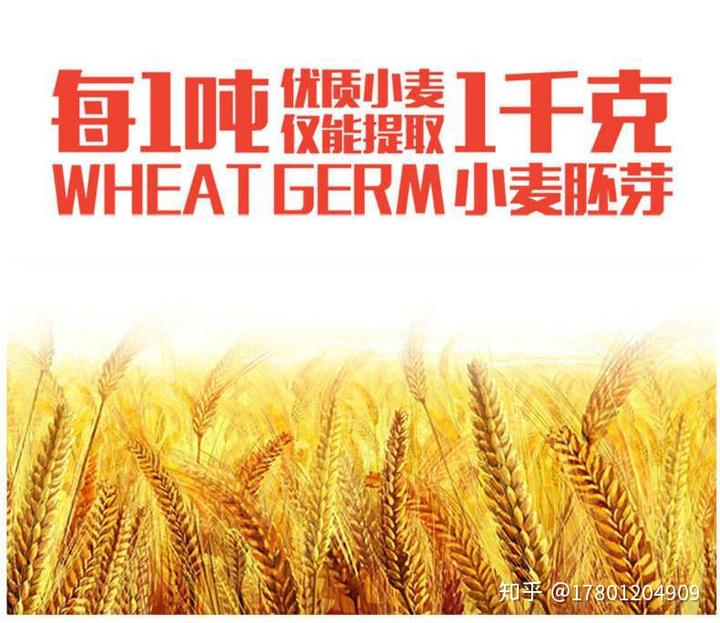 补硒芽的食物有哪些(含硒补品)-硒宝网