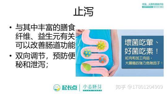 补硒芽的食物有哪些(含硒补品)-硒宝网