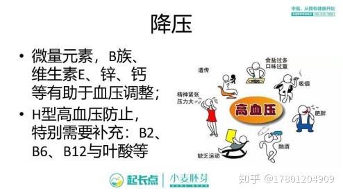 补硒芽的食物有哪些(含硒补品)-硒宝网