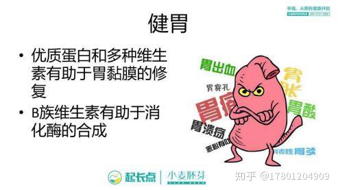 补硒芽的食物有哪些(含硒补品)-硒宝网