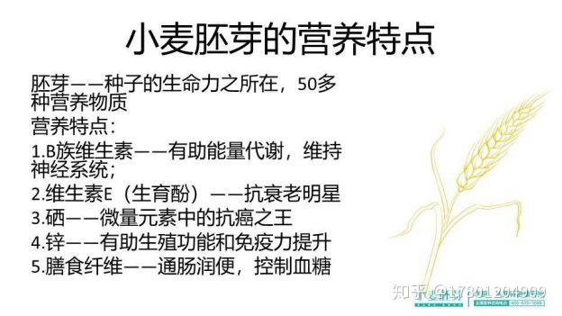 补硒芽的食物有哪些(含硒补品)-硒宝网