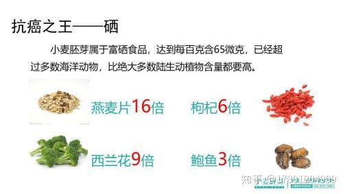 补硒芽的食物有哪些(含硒补品)-硒宝网