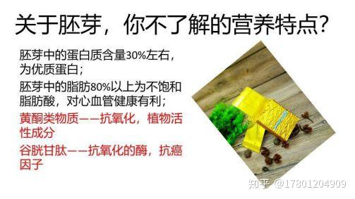 补硒芽的食物有哪些(含硒补品)-硒宝网