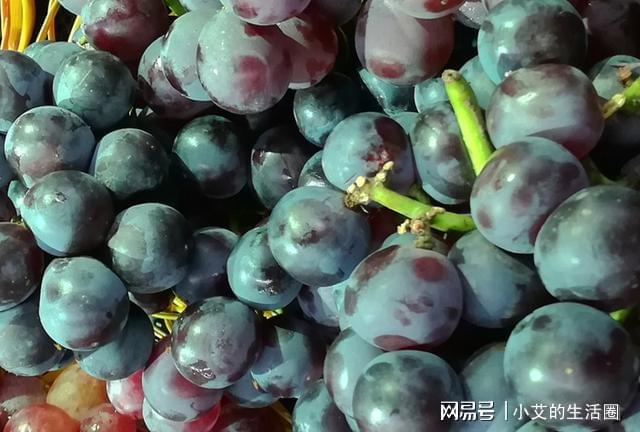 补硒水果干果哪种好（什么干果补硒）-硒宝网