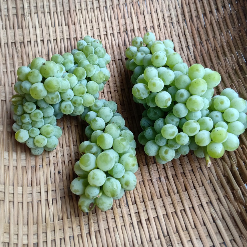 补硒水果干果哪种好（什么干果补硒）-硒宝网