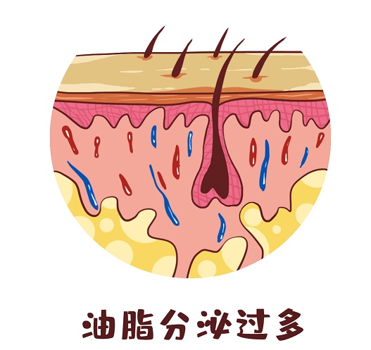 补铁的（补铁的水果）-硒宝网