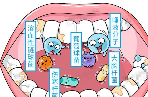 补铁的（补铁的水果）-硒宝网