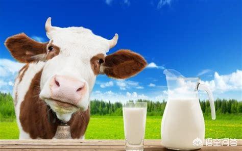 牛奶可以补钙吗(牛奶补钙可以吗)-硒宝网