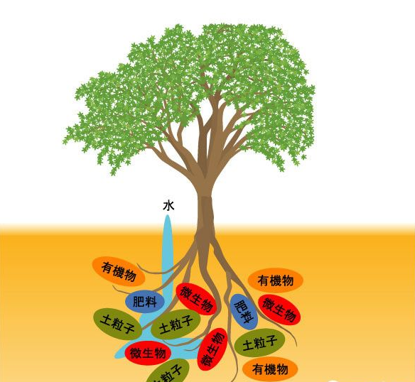 如何科学补钙(科学补钙三部曲)-硒宝网