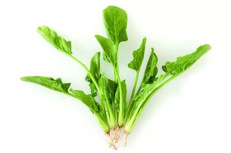 秋季补钙(秋季补钙的广告词)-硒宝网