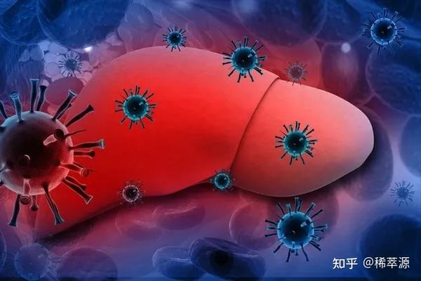 补硒肝损伤能恢复吗(肝病患者补硒)-硒宝网