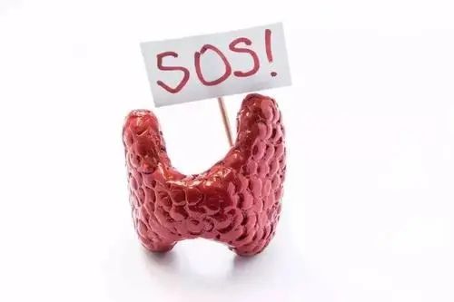 桥本甲减补硒的作用(补硒桥本)-硒宝网