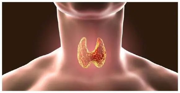 桥本甲减补硒的作用(补硒桥本)-硒宝网