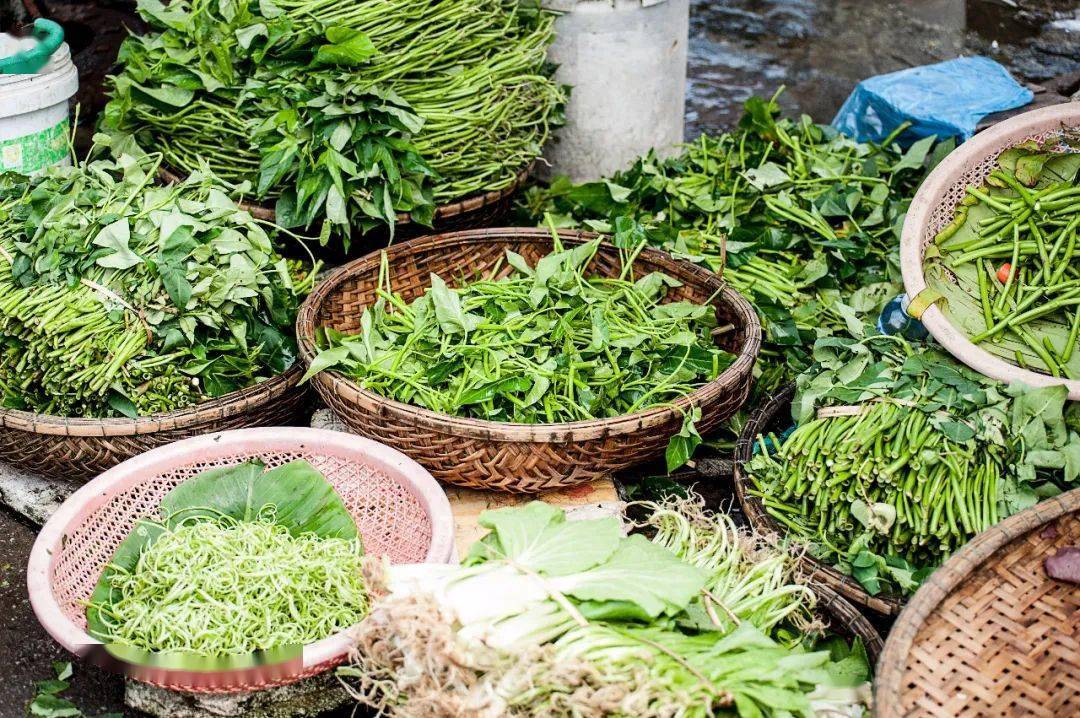 十大补钙蔬菜排行榜(最补钙蔬菜)-硒宝网