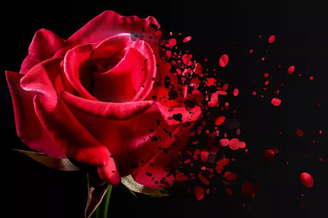 补硒为什么能抗氧化（硒及抗氧化剂）-硒宝网