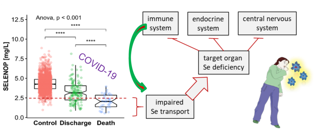 产后脱发补硒可以吗（产后脱发可以吃钙片吗）-硒宝网