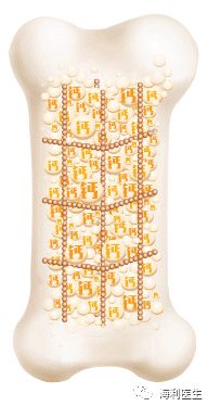 孕期吃什么补钙(孕期补钙吃什么食物最好最快)-硒宝网