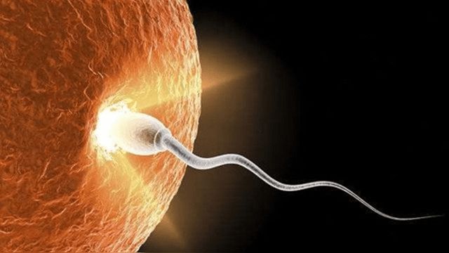 为什么男性要补硒呢(男人补硒能提高性功能吗)-硒宝网