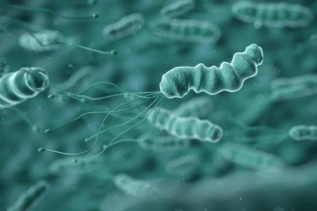 儿童肿瘤补硒保健品（肿瘤保健补儿童品硒有用吗）-硒宝网