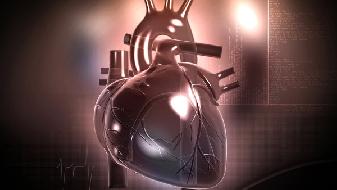 老人如何补钙(补钙老人需要吃什么)-硒宝网