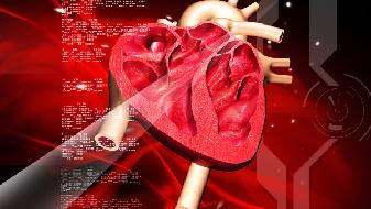 老人如何补钙(补钙老人需要吃什么)-硒宝网