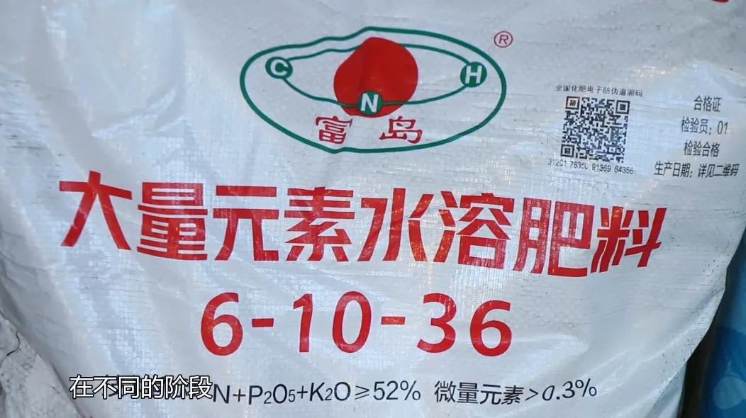 国内微量元素肥前十名（微量元素肥料哪家好）-硒宝网