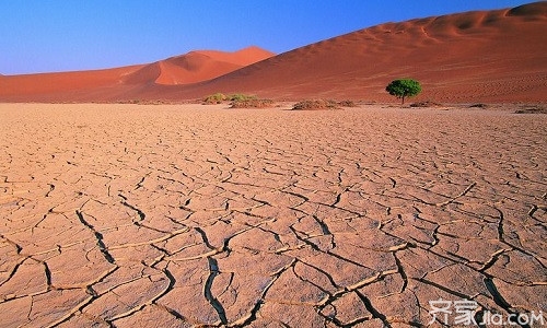 国内微量元素肥前十名（微量元素肥料哪家好）-硒宝网