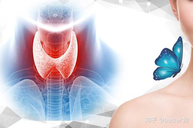 碘是微量元素吗(碘微量元素是什么东西)-硒宝网