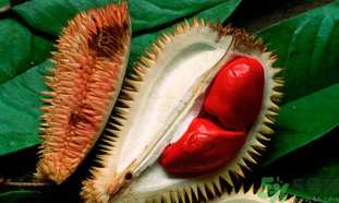 每个人每天补多少硒（每天补硒的好处）-硒宝网