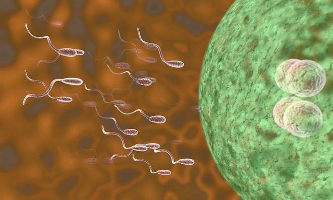 补锌补硒治疗不育症（补锌疗法）-硒宝网