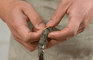 吃虾补钙吗(给虾补钙吃什么药好)-硒宝网