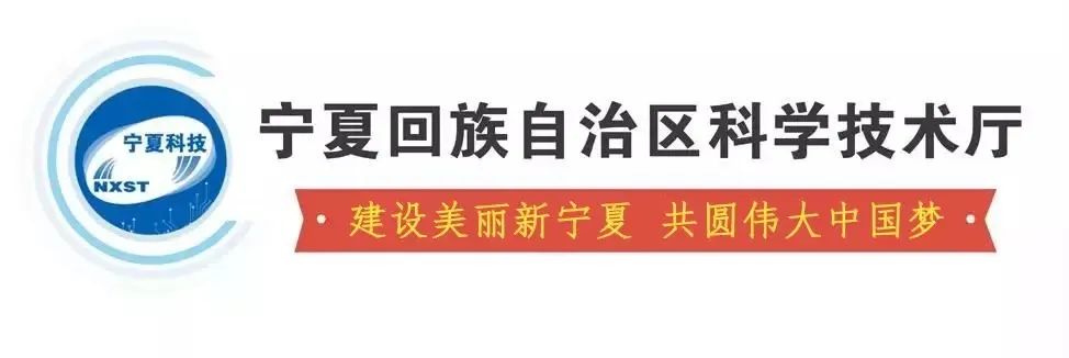精神补钙(补足精神之钙的钙是什么)-硒宝网
