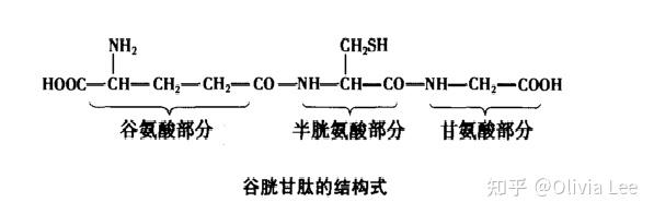 桥本甲状腺炎补硒吗（桥本甲状腺炎富硒）-硒宝网