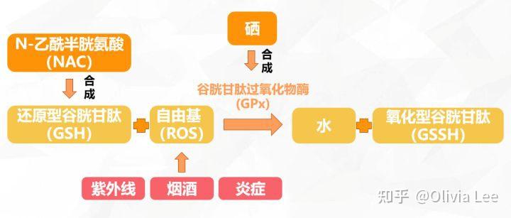 桥本甲状腺炎补硒吗（桥本甲状腺炎富硒）-硒宝网